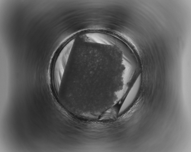 X0000095950935200802011059