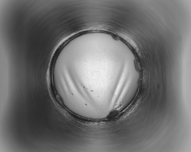 X0000095950936200802011059