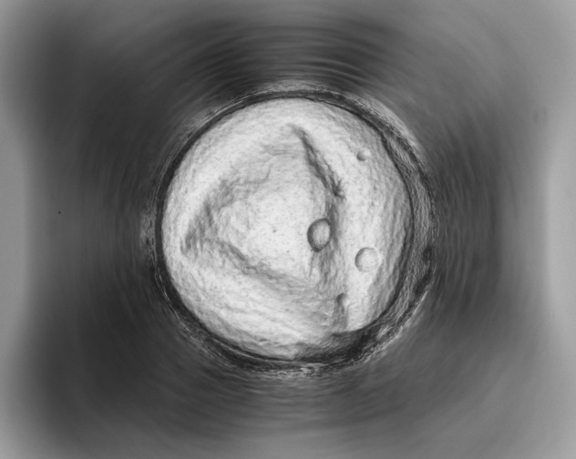 X0000095950937200802011059