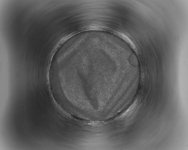 X0000095950938200802011059