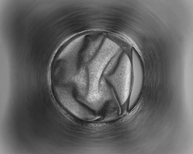 X0000095950939200802011059