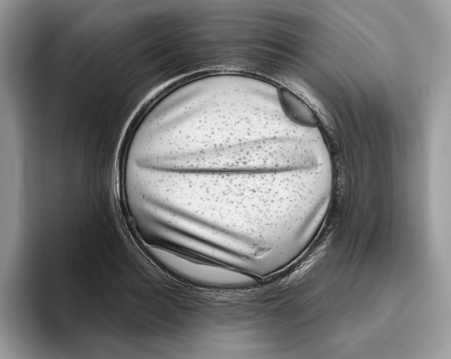 X0000095950940200802011059