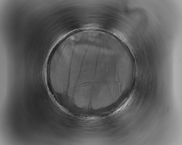 X0000095950941200802011059