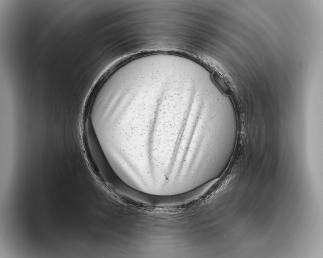 X0000095950942200802011059