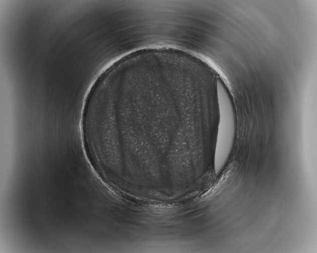 X0000095950943200802011059