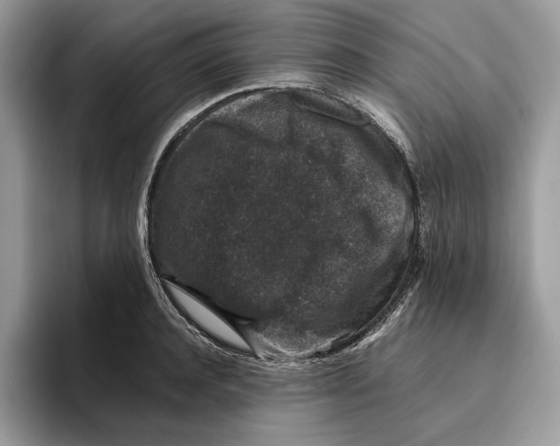 X0000095950944200802011059