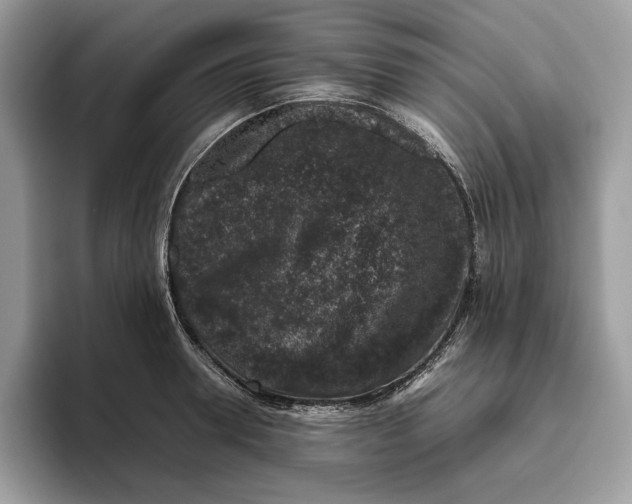 X0000095950946200802011059