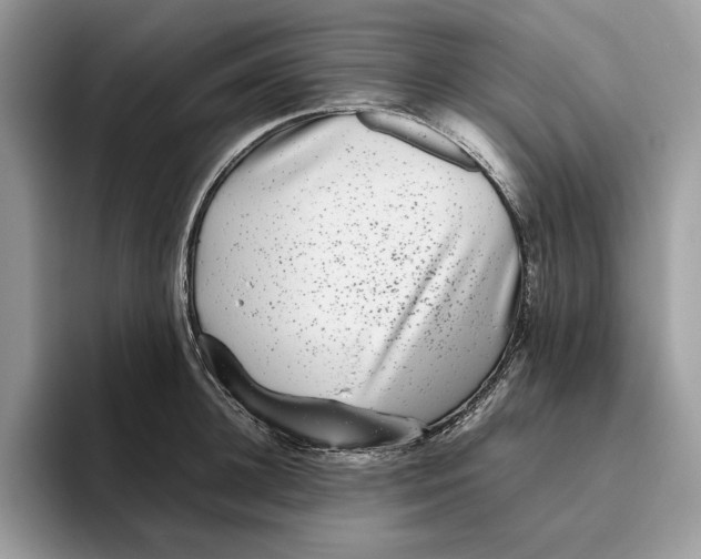 X0000095950948200802011059