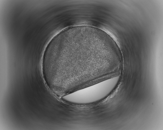 X0000095950949200802011059