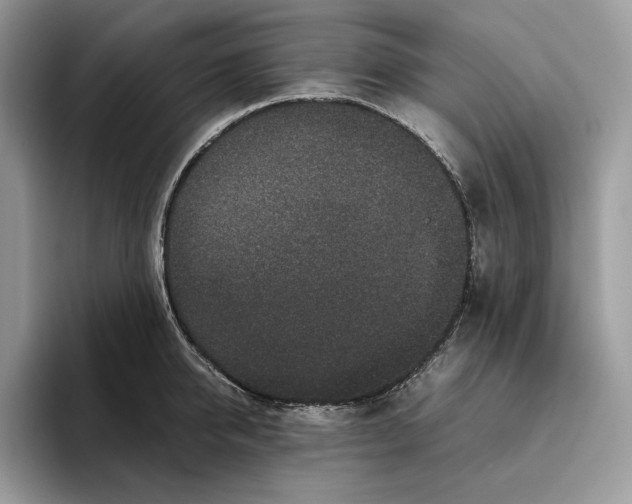 X0000095950950200802011059