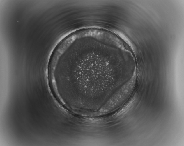 X0000095950951200802011059