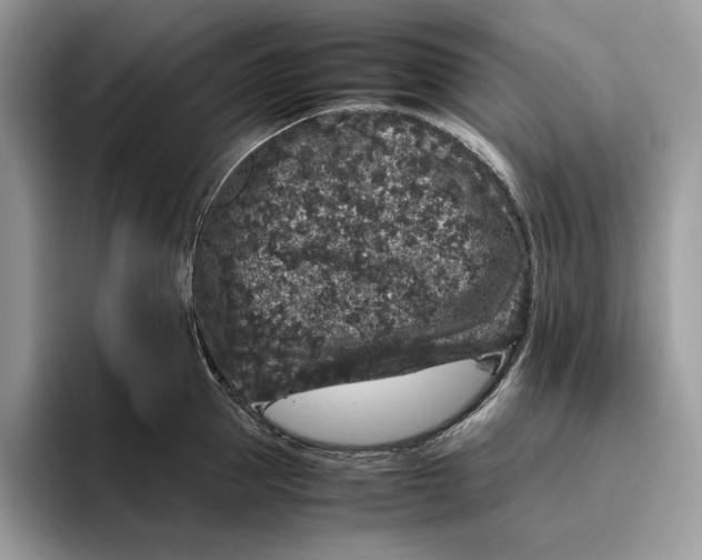 X0000095950953200802011059