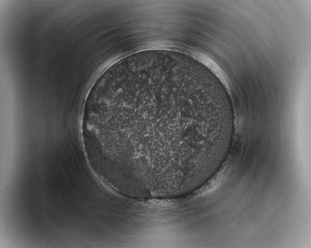 X0000095950954200802011059