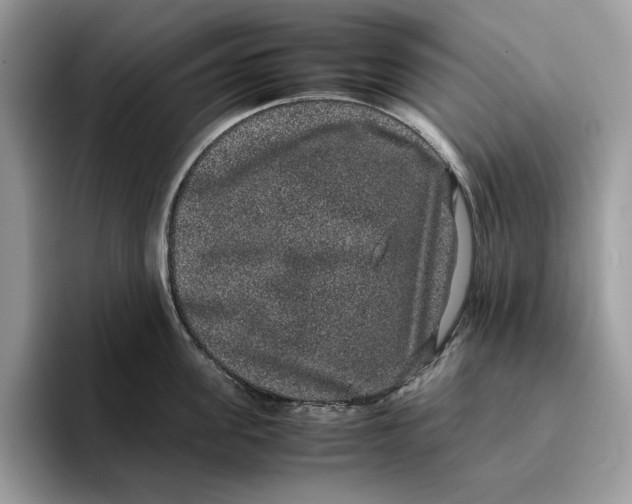 X0000095950955200802011059