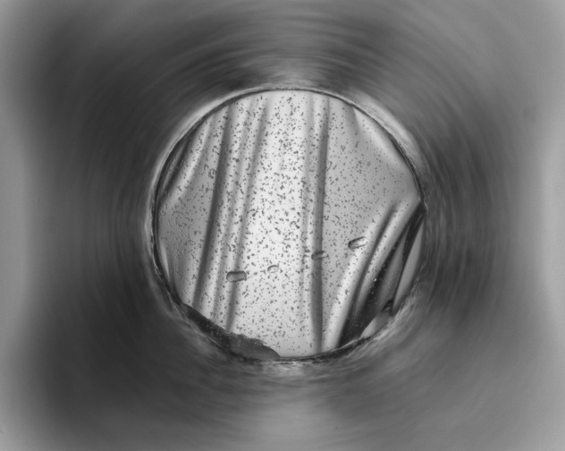 X0000095950956200802011059