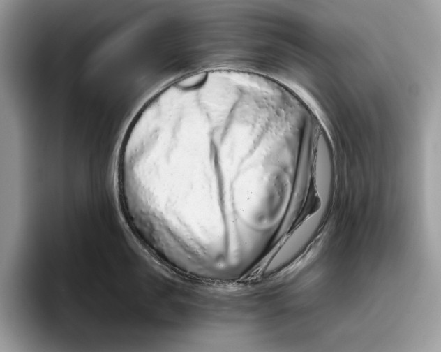 X0000095950957200802011059