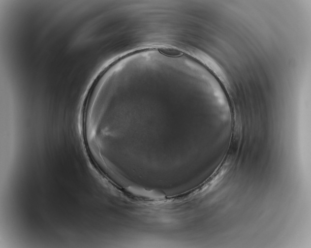 X0000095950958200802011059