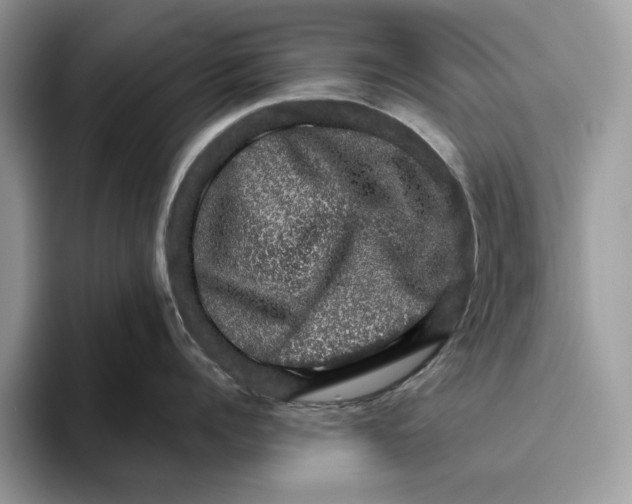 X0000095950960200802011059