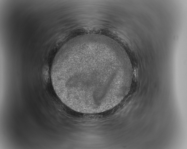 X0000095950963200802011058