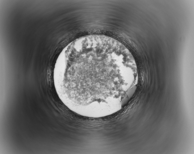 X0000095950964200802011058