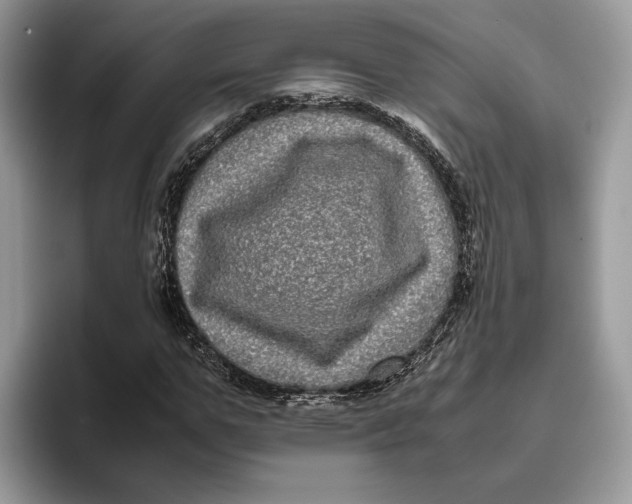 X0000095950967200802011058