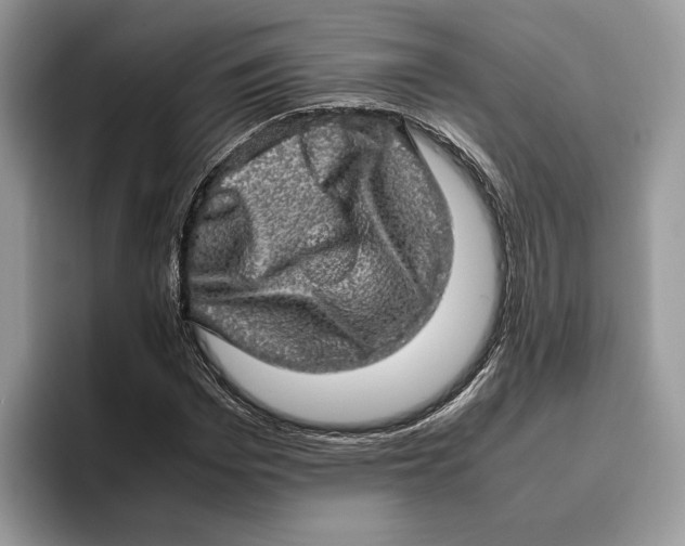 X0000095950969200802011058