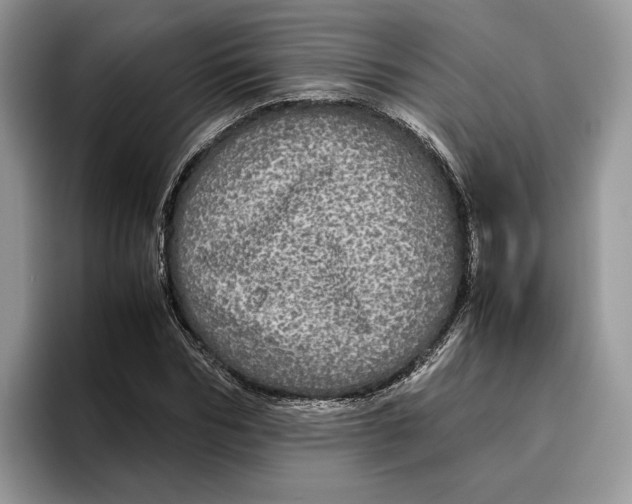 X0000095950970200802011058