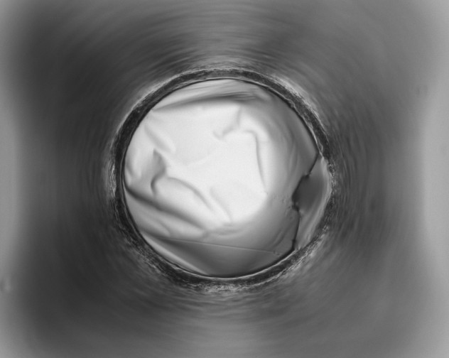 X0000095950973200802011058