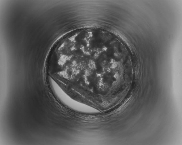 X0000095950975200802011058