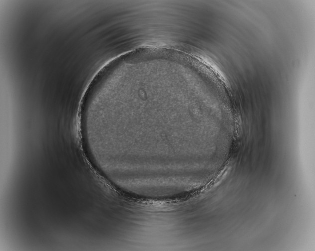 X0000095950976200802011058