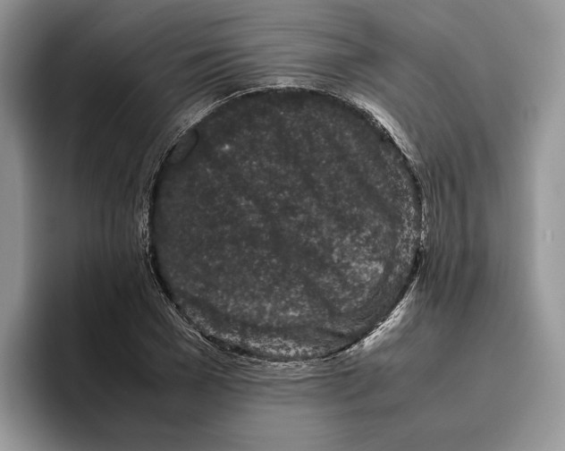 X0000095950977200802011058