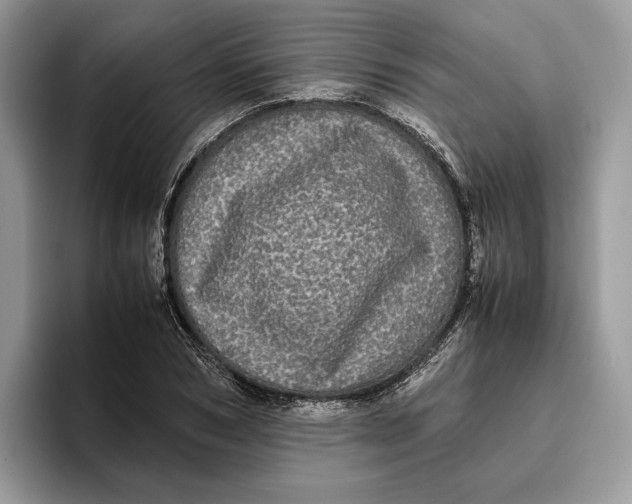 X0000095950978200802011058