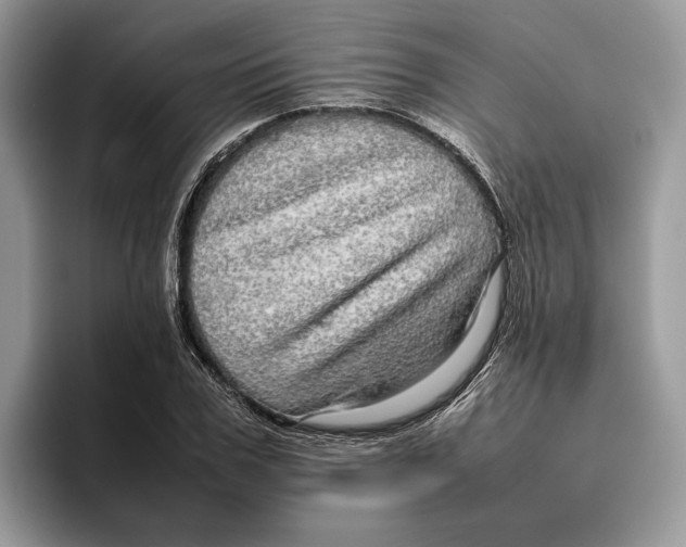 X0000095950979200802011058