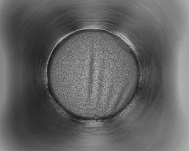 X0000095950980200802011058