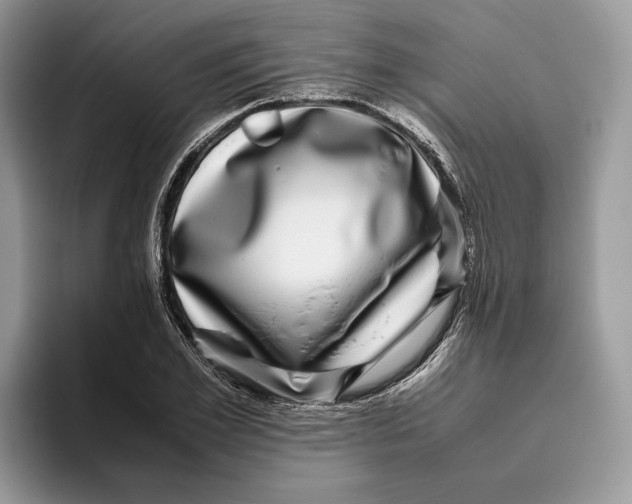 X0000095950981200802011058