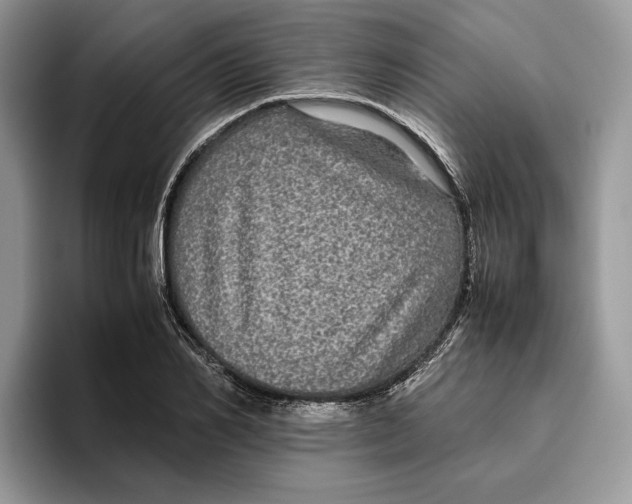 X0000095950982200802011058