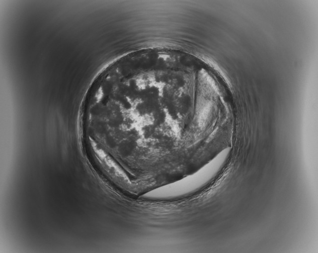 X0000095950983200802011058