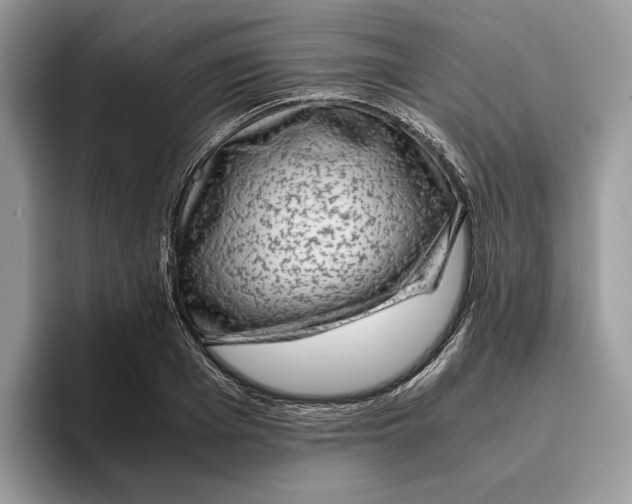 X0000095950985200802011058