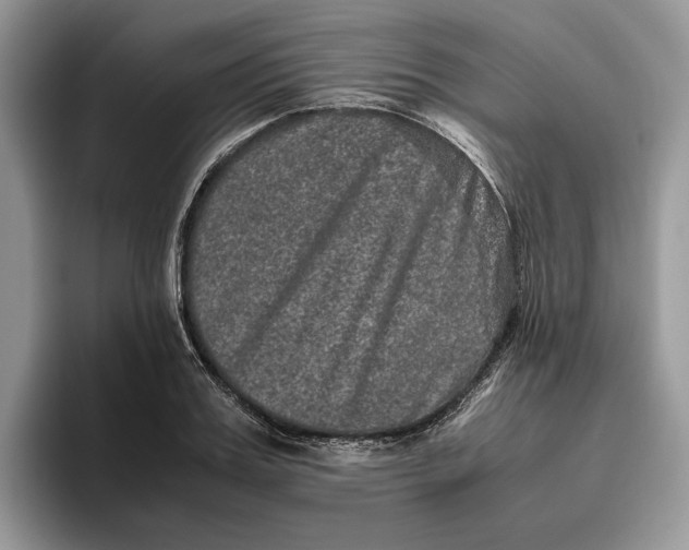 X0000095950987200802011058