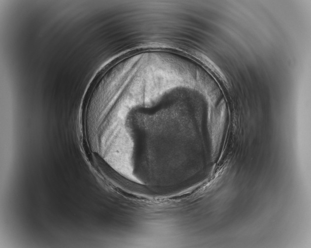 X0000095950988200802011058