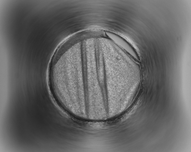 X0000095950991200802011058