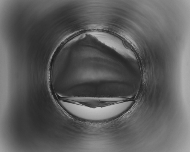 X0000095950992200802011058