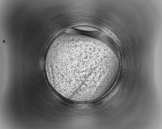 X0000095950993200802011058