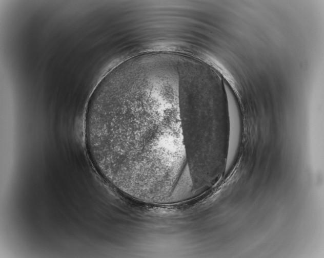 X0000095950994200802011058