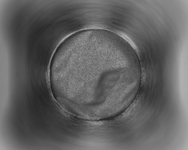 X0000095950996200802011058