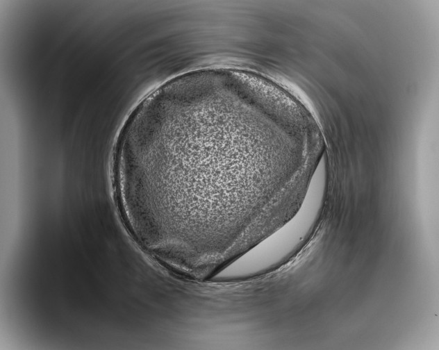 X0000095950997200802011058