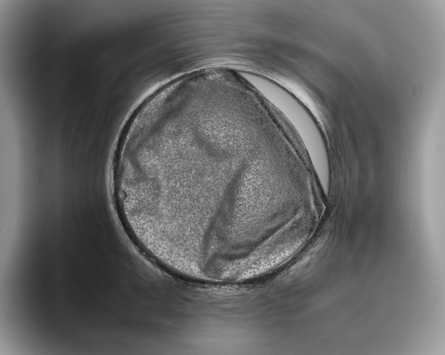 X0000095950999200802011058