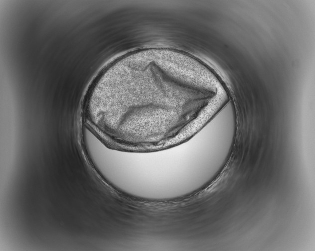 X0000095951000200802011058