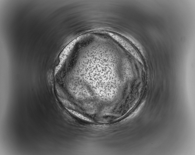 X0000095951001200802011058