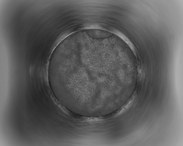 X0000095951002200802011058